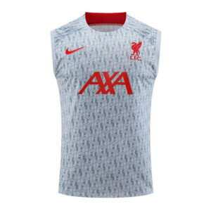 Regata Liverpool 23/24 - Treino - Cinza