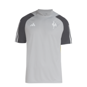 Camisa Atletico Mineiro 24/25 Treino Adidas Torcedor - Cinza